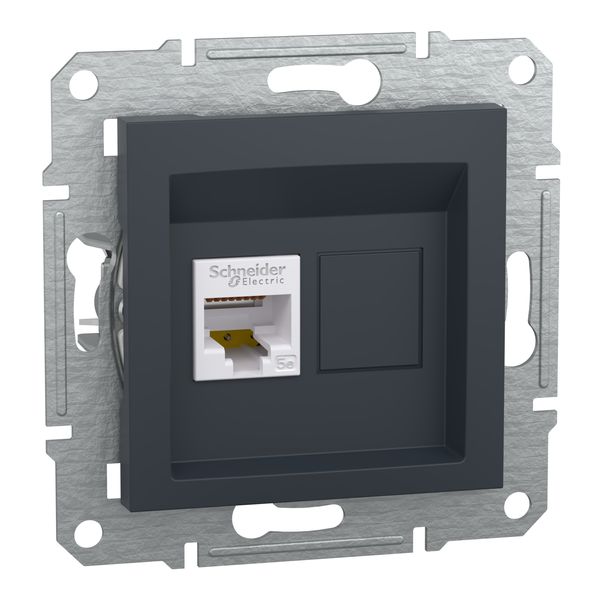 Asfora - Data socket cat5e UTP, wo frame, anthracite image 3