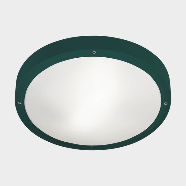 Ceiling fixture IP66 BASIC E27 E27 15;15W Fir green image 1