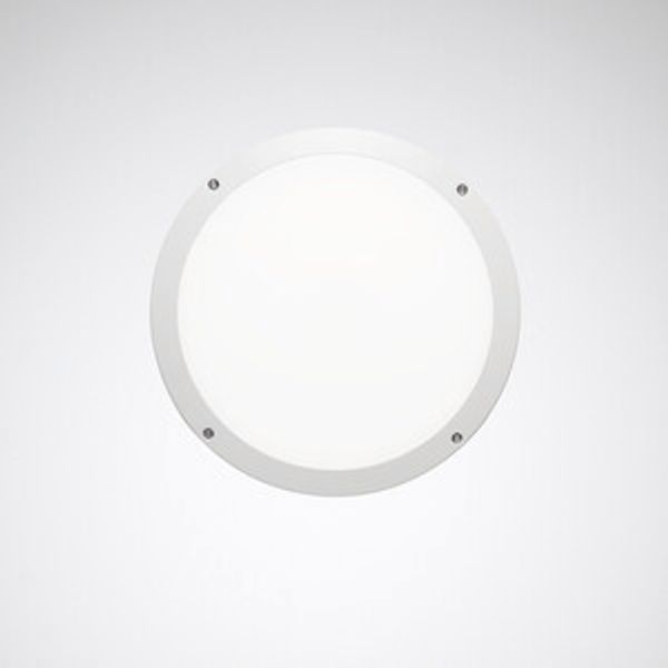 Wall and ceiling luminaire Skeo Circ Multilumencolor 4 Diffuser White ET 13W 1450lm 85 rotationally sym. wide (RB) IP65 IK10 3 SDCM image 1