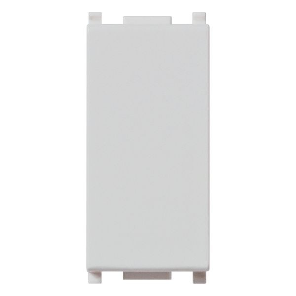 Blank module Silver image 1