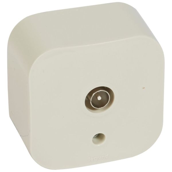 Television socket Forix - surface mounting - IP 2X - male connector - ivory image 1