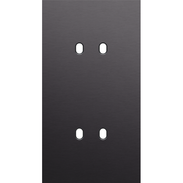 Twofold faceplate, vertical 71 mm centre distance, for double switch f image 2