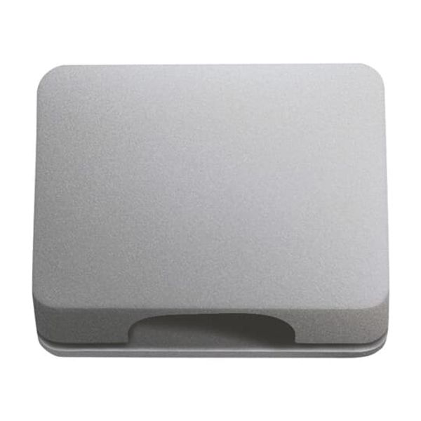 1746/10-266 CoverPlates (partly incl. Insert) carat® titanium image 3