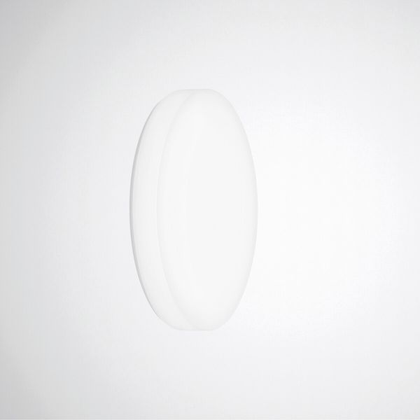 Wall and ceiling luminaire Olisq R Diffuser White around ET 21W 3000lm Lambertian (L) IP40 IK03 3 SDCM image 1