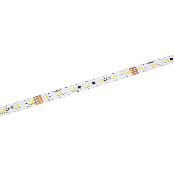 LED Star Strip 2000 TW, LED STRIP 2000 S TW/24V 50M image 1