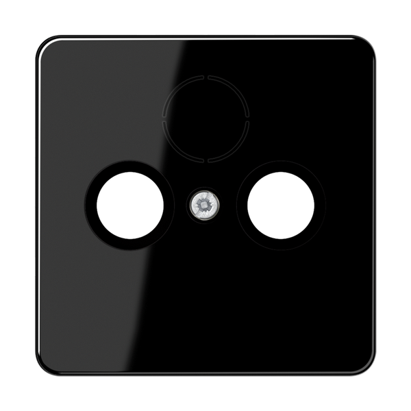 Center plate for TV-FM-SAT sockets CD561SATSW image 1