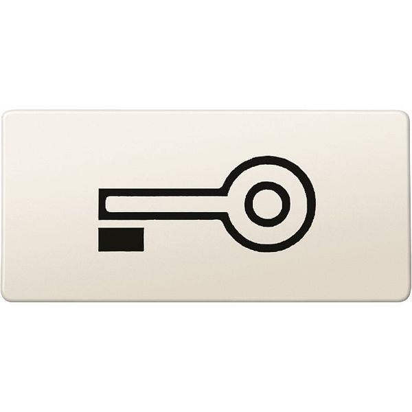 Symbols, rectangular, key, white image 1