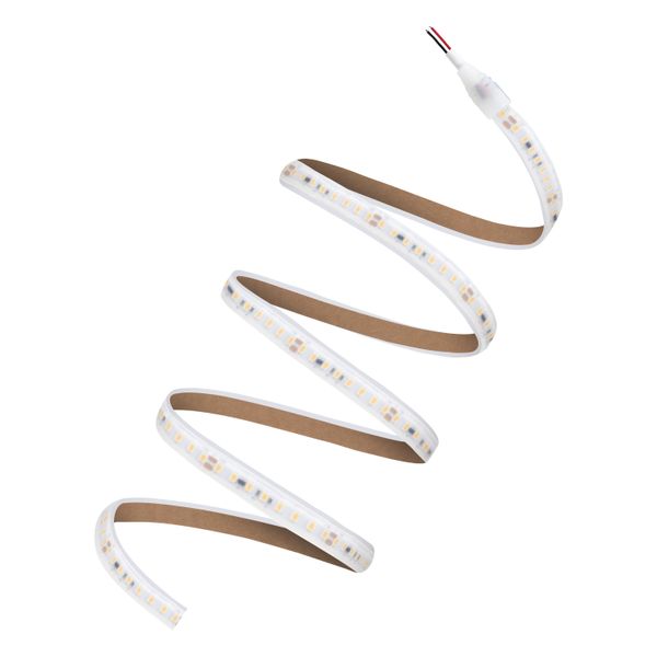 LED STRIP P 1000 P -1000/927/5/IP67 image 4