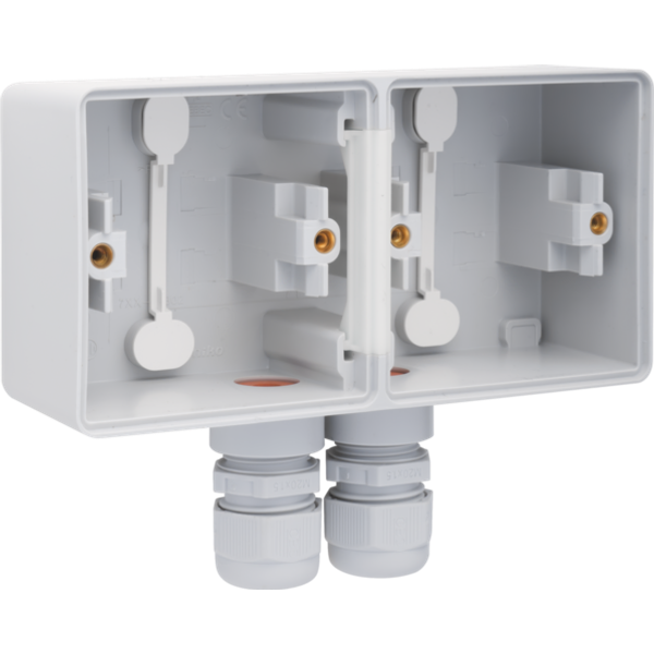 Splashproof double horizontal surface-mounting box with one double M20 image 1