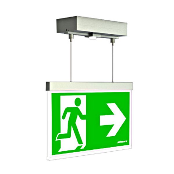 Emergency luminaire AX Duo stainless steel look image 1