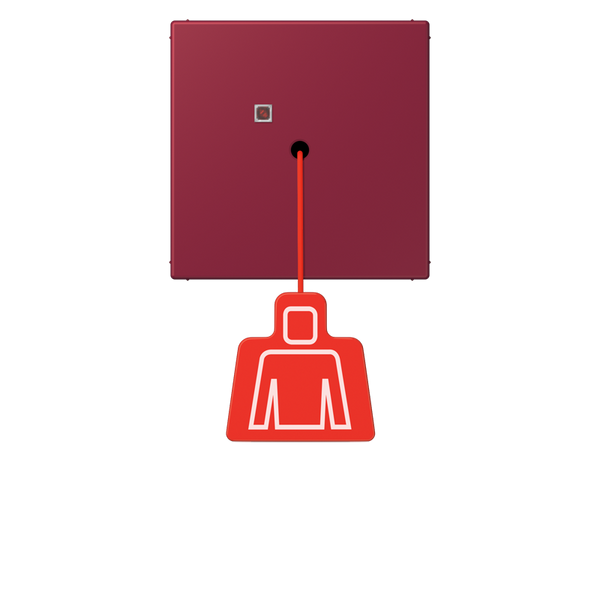 Pull cord push-button LC4320M NRSLC0834ZT255 image 1