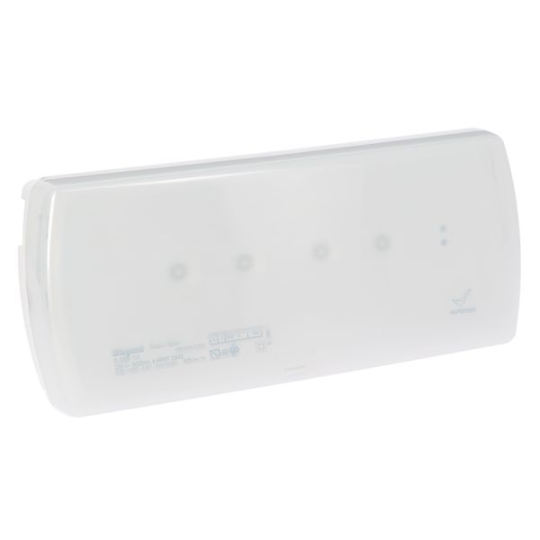 Emergency luminaire U21-autotest/address maintained/non maintained-100 lm-3h-LED image 2