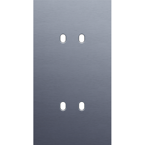 Twofold faceplate, vertical 71 mm centre distance, for double switch f image 2