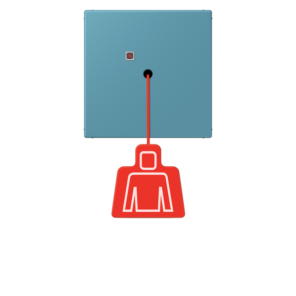 Pull cord push-button LC32031 NRSLC0834ZT212 image 1