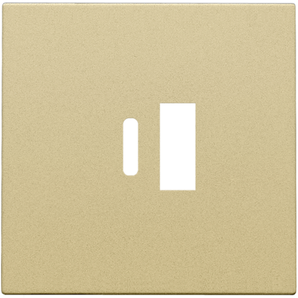 Finishing set for dual smart USB-A and USB-C charger, gold coated image 1