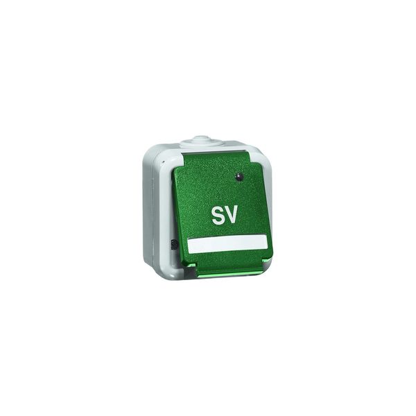Steckdose SCHUKO, grün SV (803011) image 1