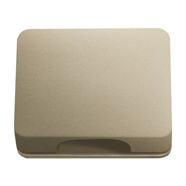 1746/10-260 CoverPlates (partly incl. Insert) carat® Palladium image 3