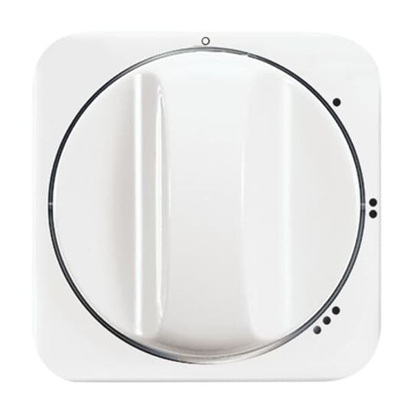 2542 DR/01-214 CoverPlates (partly incl. Insert) carat® Alpine white image 2