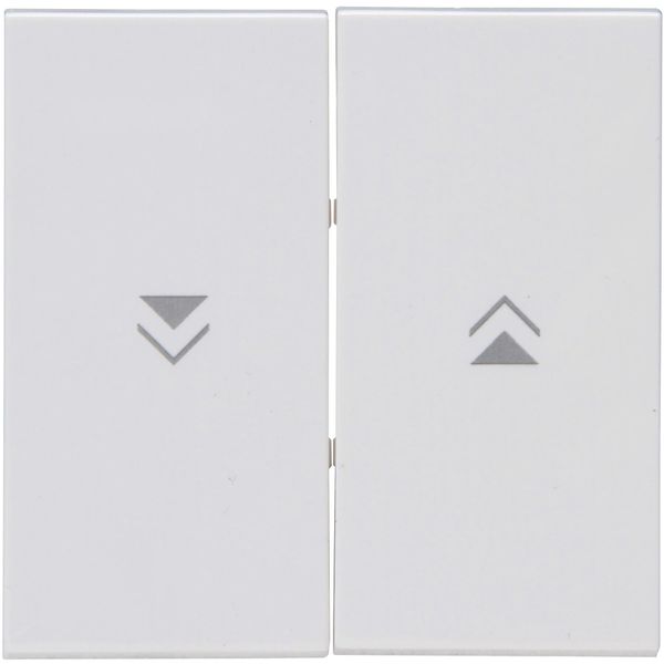 Double Rocker pad with arrows image 1