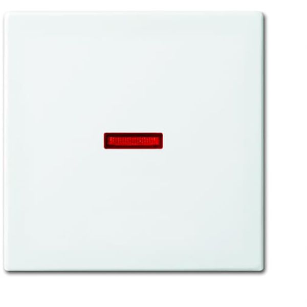 1789-914 CoverPlates (partly incl. Insert) Busch-balance® SI Alpine white image 1