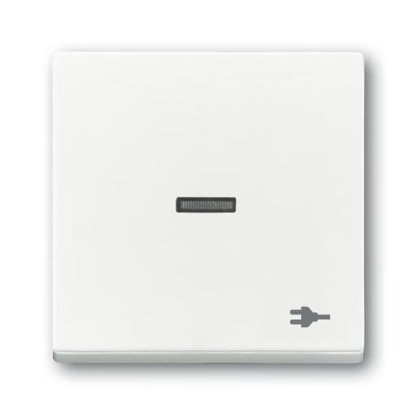 1789 ST-84 CoverPlates (partly incl. Insert) future®, Busch-axcent®, solo®; carat® Studio white image 2