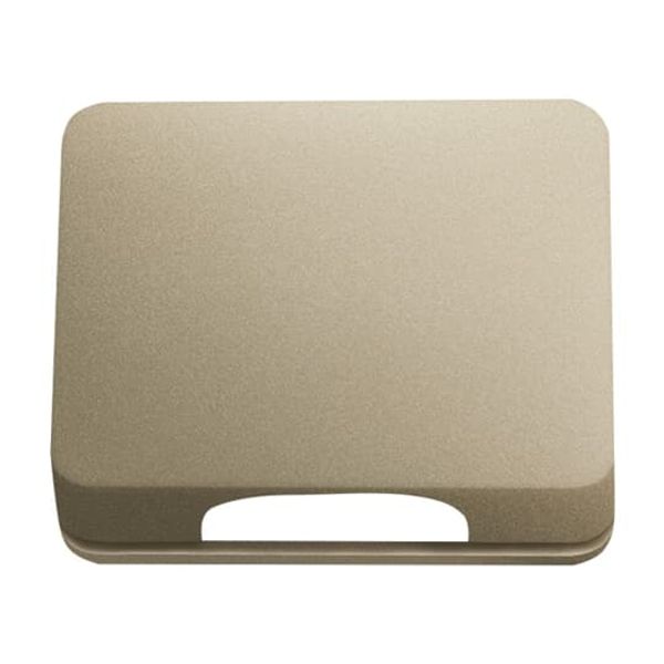 2561-260 CoverPlates (partly incl. Insert) carat® Palladium image 2