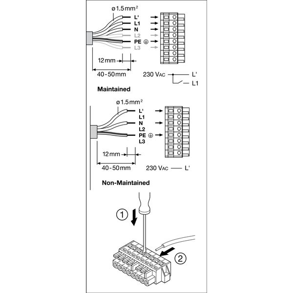 TruSys® FLEX EMERGENCY DOUBLE ASYMMETRIC 35W 840 DS CL WT EM image 20