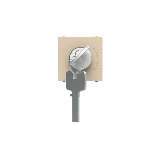 N2253 CV Key switch Champagne - Zenit image 1