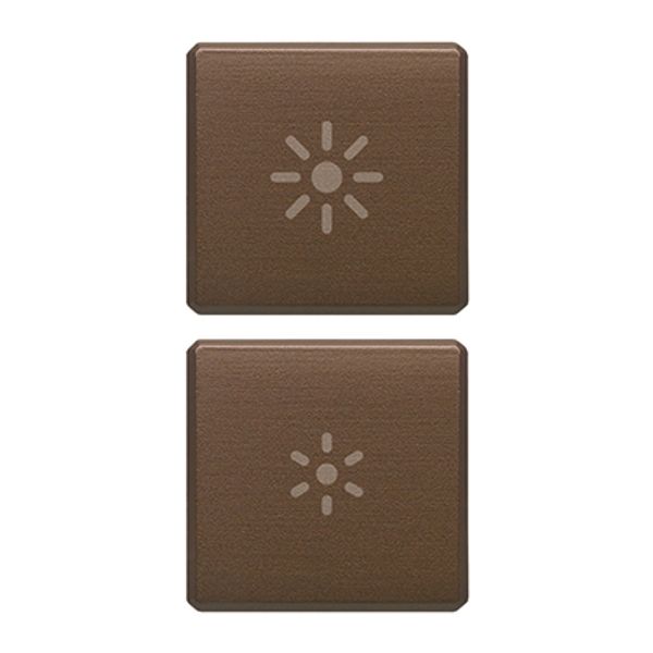 2 buttons Flat regulation symbol bronze image 1