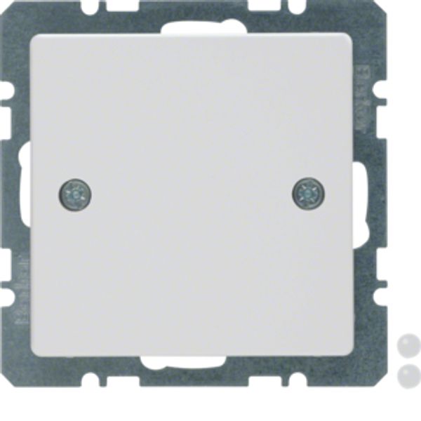 Blind plug centre plate, screw-on, Q.1/Q.3, p. white velvety image 2