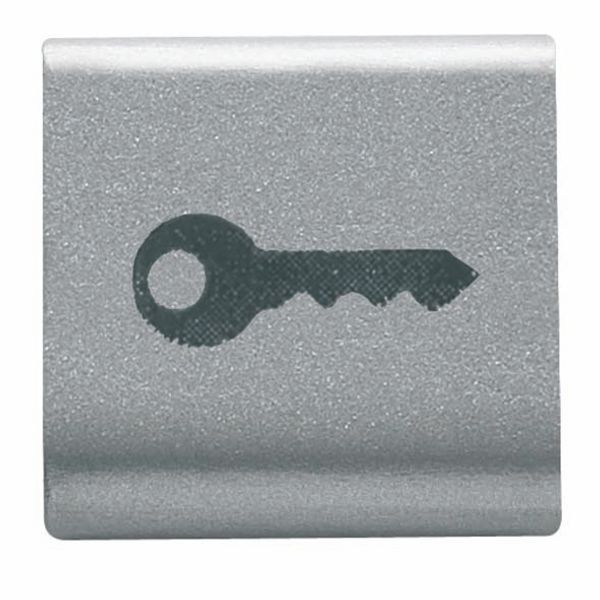 INTERCHANGEABLE BUTTON KEY - 22X22mm - KEY - TITANIUM - CHORUSMART image 2