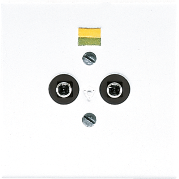 Potential equalisation socket LS965-2NWW image 1