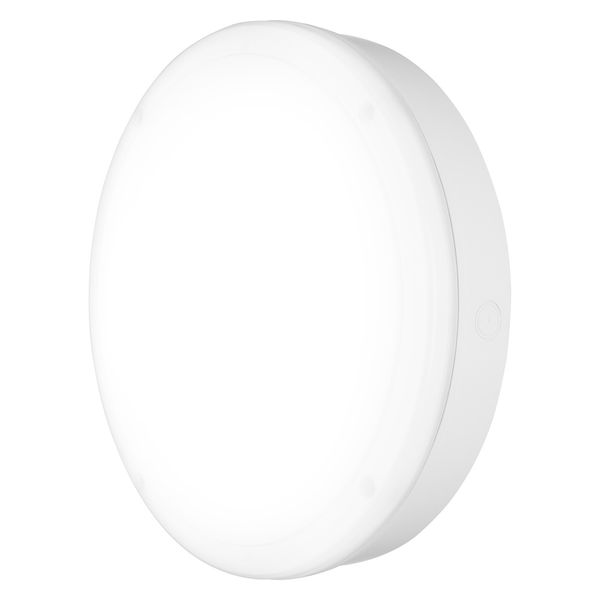 SURFACE BULKHEAD 300 EMERGENCY 15W 830 WT IP65 image 10