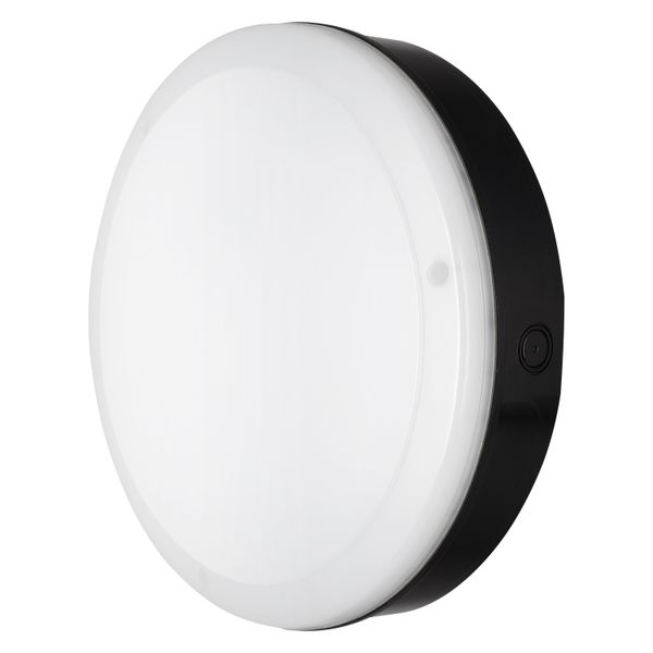 SURFACE BULKHEAD 250 ON/OFF 10W 830 BK IP65 image 6