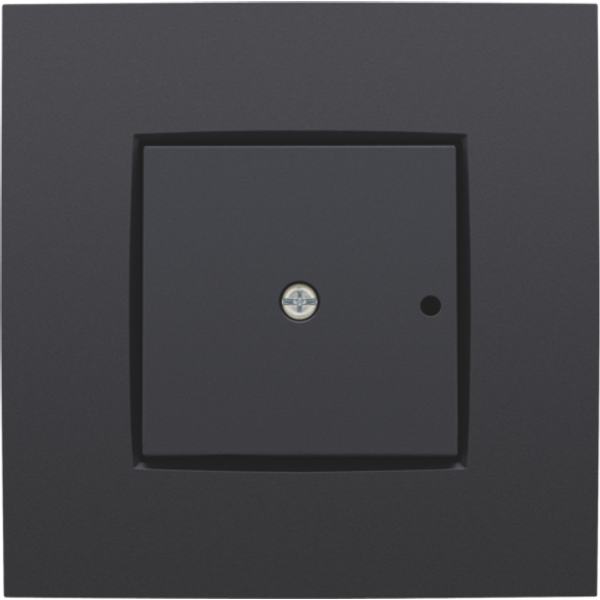 Finishing set for a 1-channel flush-mounting RF receiver with single-p image 1