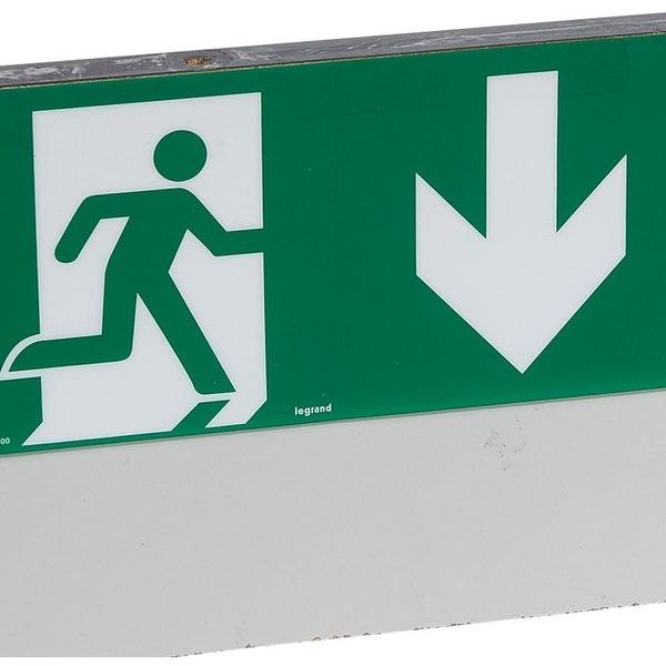 Label - for emergency lighting luminaires - exit door below - 127 x 254 mm image 1