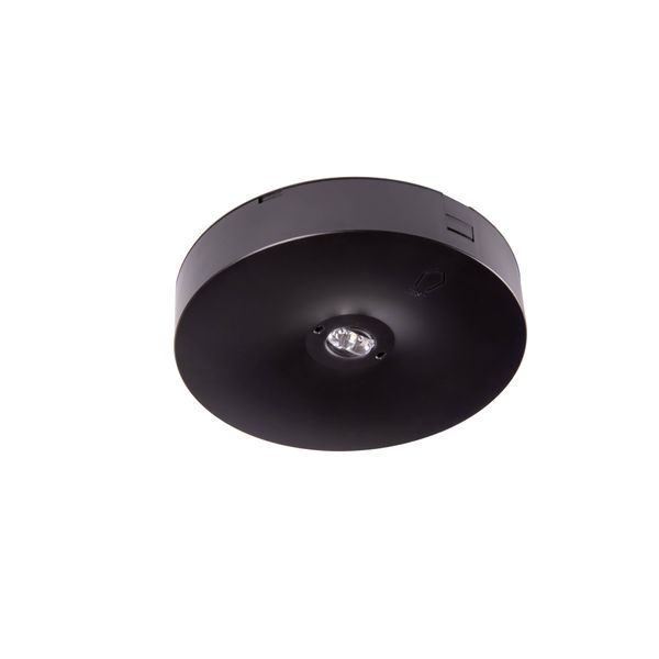 Starlet Round LED SC 250 SA 1H MT [BLK] image 1