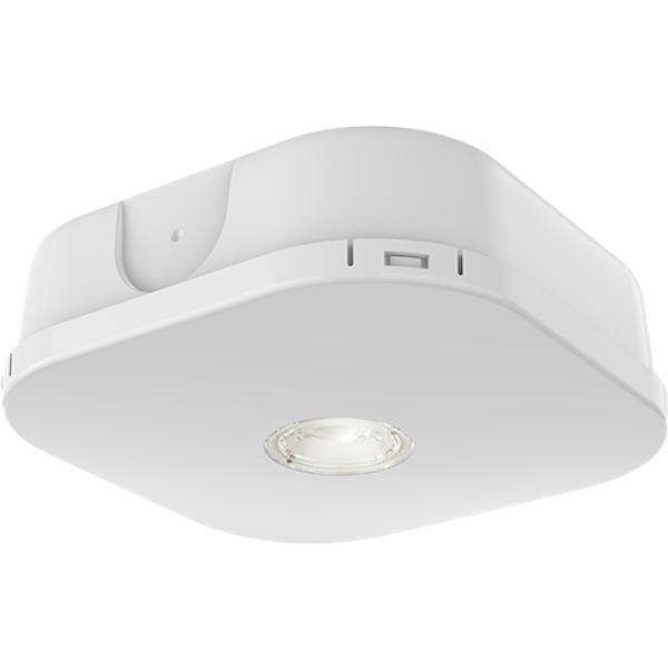 Falcon Pro DALI Surface Mounted Downlight White image 1