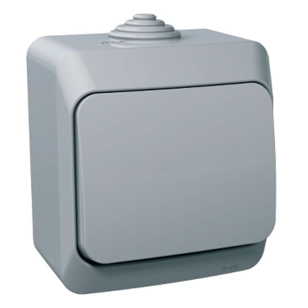 Cedar Plus - 1pole 2way switch - 16AX, grey image 2