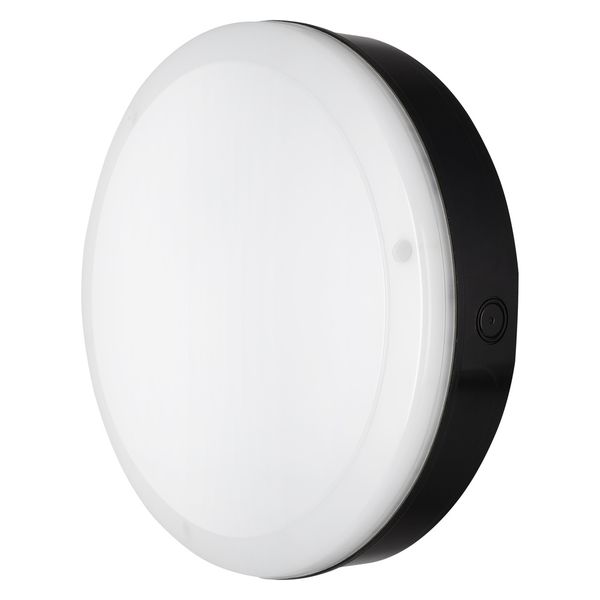 SURFACE BULKHEAD 250 ON/OFF 10W 840 BK IP65 image 8