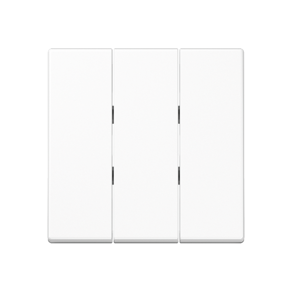 Blank centre plate A594-0 image 4