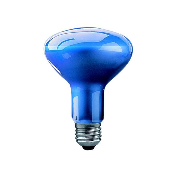 Reflector Incandescent Bulb E27 75W R95 3500K 35" blue image 1