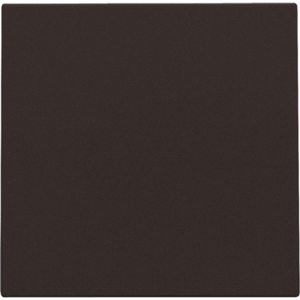 Splashproof blind plate, dark brown coated image 1