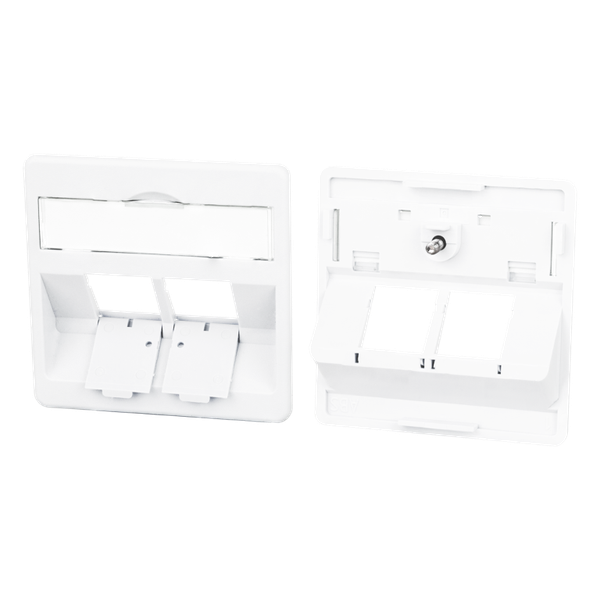 Central plate 50 x 50 mm 2 port, traffic white, modul image 3