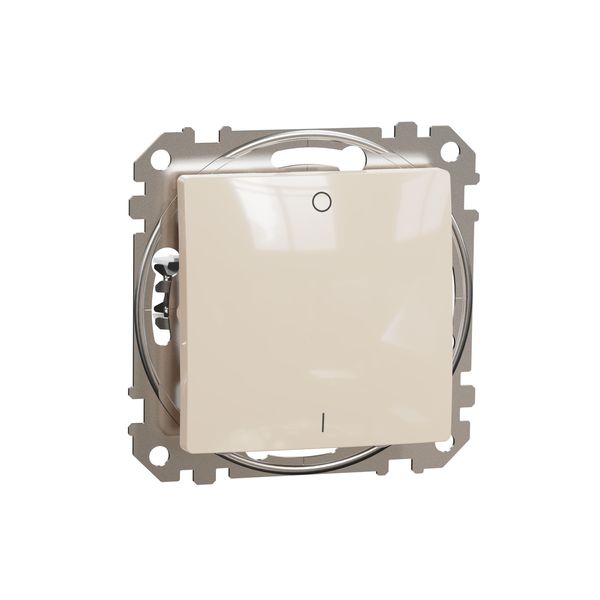 Sedna Design & Elements, 2-Pole switch 10AX, professional, beige image 4