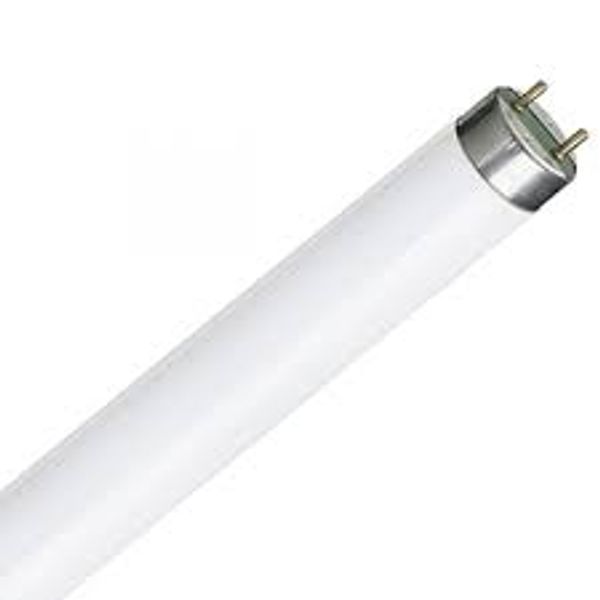 Fluorescent Tube  36W/830 120cm T8 image 1