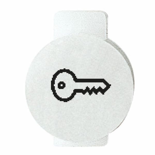 LENS WITH ILLUMINATED SYMBOL FOR COMMAND DEVICES - OPEN DOOR - SYMBOL KEY - SYSTEM WHITE image 2