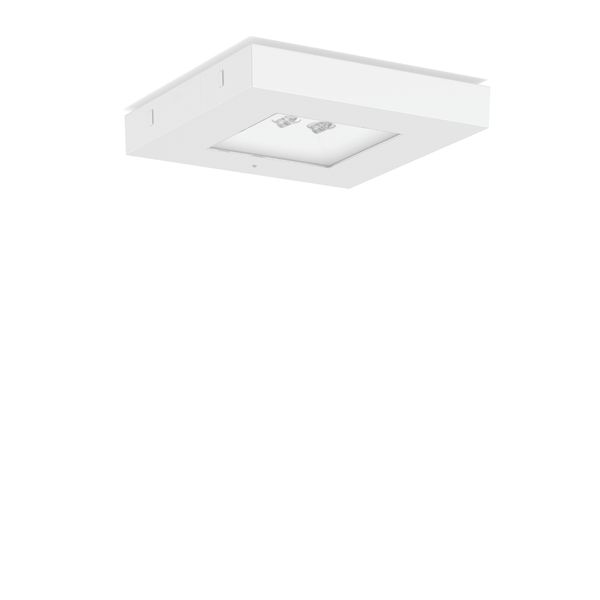 CENTRYXX IP65, 3,9 W, 220 lm, 765, white, on/off Ceiling luminaires, L image 2