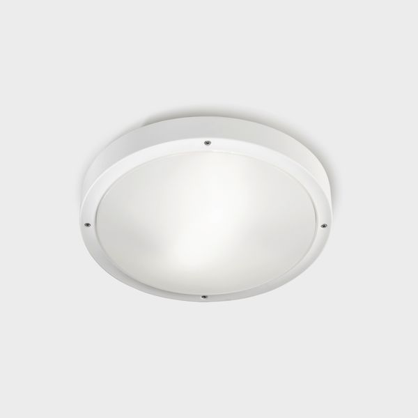 Ceiling fixture IP66 BASIC Aluminium E27 15W White image 1