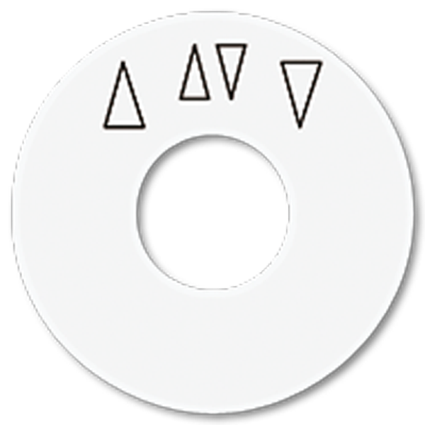 Spare scale disc SKS1234.10WW image 1